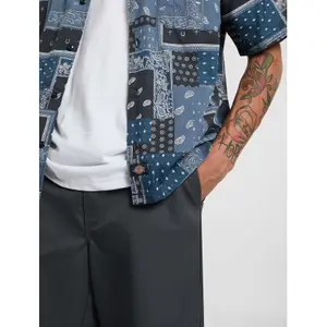 T-shirt Dickies Glandorf image-5