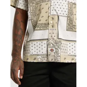 T-shirt Dickies Glandorf image-6