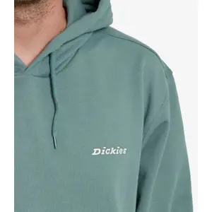 Φούτερ με κουκούλα Dickies Loretto image-3