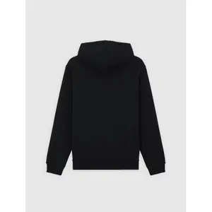 Hoodie Dickies Loretto image-1