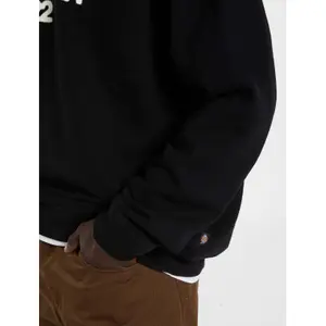 Φούτερ Dickies Torrey image-6