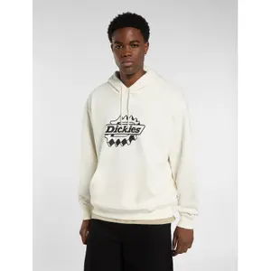 Sweatshirt à capuche Dickies Irondale image-2