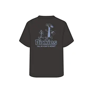 Koszulka Dickies Failawn image-2