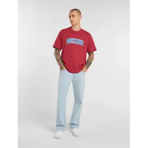 T-shirt Dickies Aitkin image-1