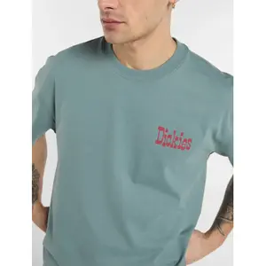 T-shirt Dickies Polk image-4