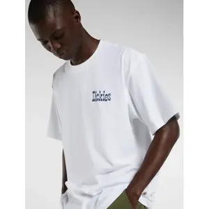 T-shirt Dickies Vernal image-5