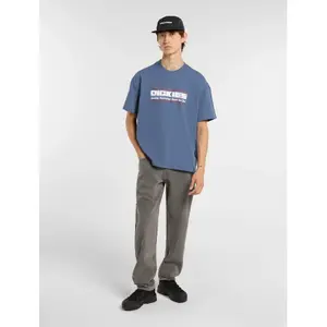Τζιν tapered Dickies 993 image-2