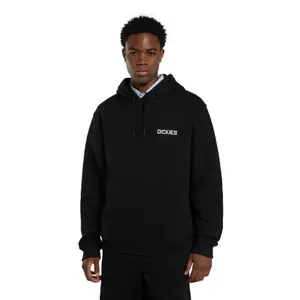 Sweatshirt à capuche Dickies Payson