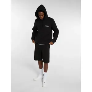 Sweatshirt à capuche Dickies Payson image-1