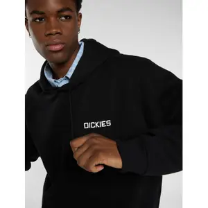 Sweatshirt à capuche Dickies Payson image-3