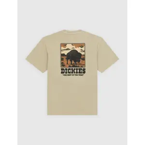 T-shirt Dickies Darrtown image-2