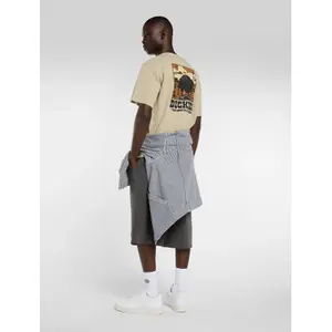 T-shirt Dickies Darrtown image-4