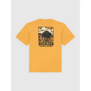 T-shirt Dickies Darrtown image-3