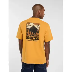 T-shirt Dickies Darrtown image-4