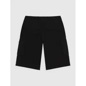 Σορτς καρότσα Dickies image-3