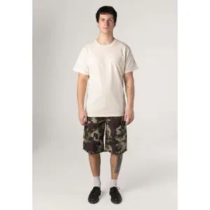 Σορτς καρότσα Dickies image-2