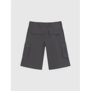 Σορτς καρότσα Dickies image-2