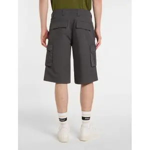 Σορτς καρότσα Dickies image-3