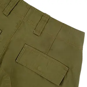 Σορτς καρότσα Dickies image-6