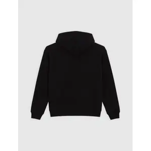 Sweatshirt à capuche Dickies Nashport image-1