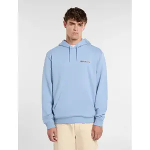 Sweatshirt à capuche Dickies Thornville image-2