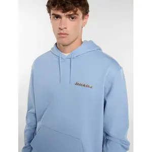 Sweatshirt à capuche Dickies Thornville image-5