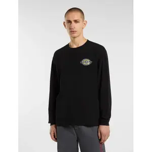 Τραβήξτε Dickies Nashport image-1