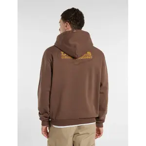 Sudadera con capucha Dickies Avondale image-2