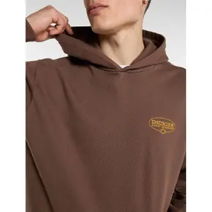 Sudadera con capucha Dickies Avondale image-5