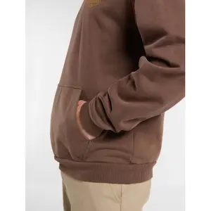Sudadera con capucha Dickies Avondale image-6