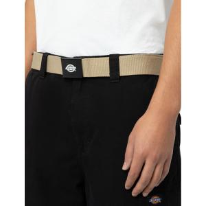 product/d/i/dickies_dk0a4x7ekhk1_2.jpg