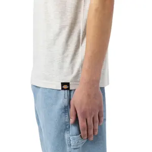 Tričko Dickies Aitkin image-4