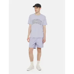T-shirt Aitkin Cosmic Dickies image-2
