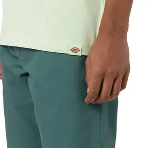 Rövidujjú póló Dickies Loretto image-4