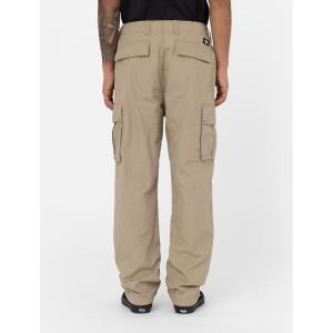 Cargo-Hose Dickies Eagle Bend image-1