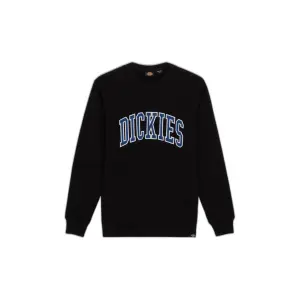 dk0a4xabj391-sweatshirt-dickies-aitkin-blk-coronet-ble