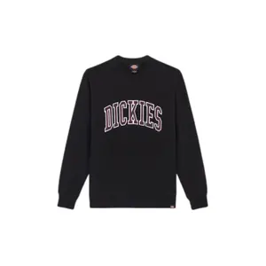 dk0a4xabj941-sweatshirt-manches-longues-dickies-aitkin-black-plum-perfect