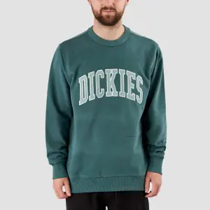 product/d/i/dickies_dk0a4xabj951_lincoln-green-surf-blue_2.jpg