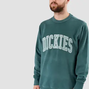product/d/i/dickies_dk0a4xabj951_lincoln-green-surf-blue_3.jpg