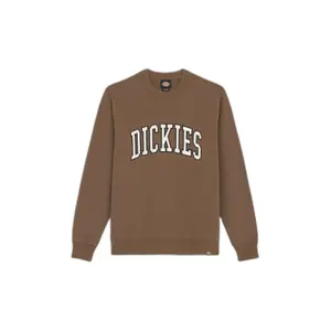 dk0a4xabj961-sweatshirt-manches-longues-dickies-aitkin-mushroom-cloud