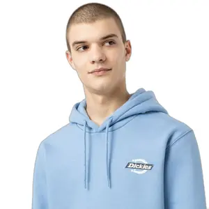 Sudadera con capucha Dickies Ruston image-4
