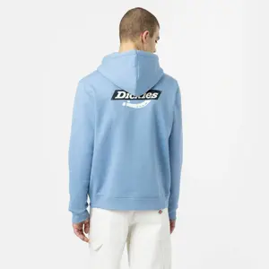 Sudadera con capucha Dickies Ruston image-1