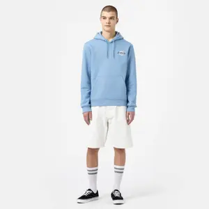 Sudadera con capucha Dickies Ruston image-2