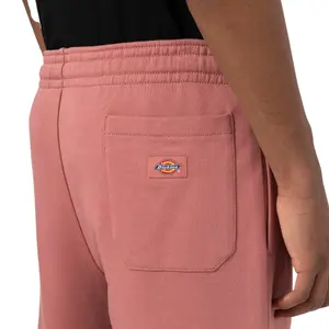 Bermudy Dickies Champlin image-2