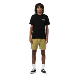 Bermuda shorts Dickies Pelican Rapids image-1