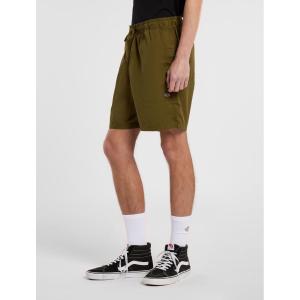 Shorts Dickies Pelican Rapids image-2