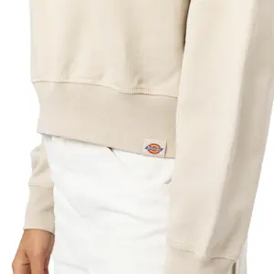 Dickies Loretto Boxy Women's Hoodie image-4