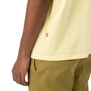 Póló Dickies Icon Logo image-4