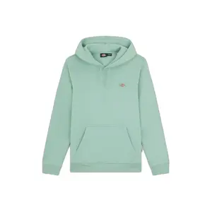 dk0a4xcdk361-sweatshirt-a-capuche-dickies-oakport-iceberg-green