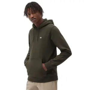 dk0a4xcdogx1-sweatshirt-a-capuche-dickies-oakport-olive-green